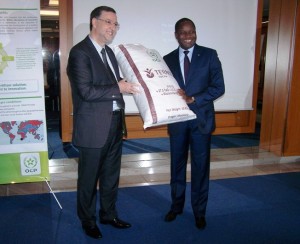Article : Cacaoculture : la Côte d’Ivoire réceptionne 10.000 t de TERACTIV