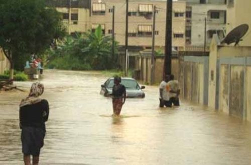 Article : D’Abidjan à Douala via Cacaveli : à chacun son parapluie !